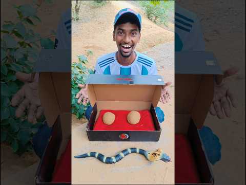 After catching the snake, I found three balls of clay inside the box. #shorts #viral #trending