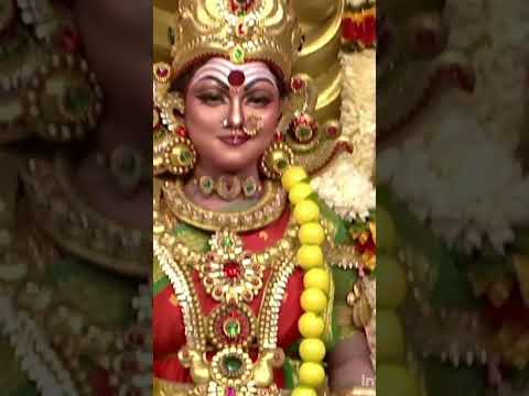 Amman songs #toptrending #song