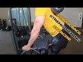 Lower Back Strengthening with Standing Machine Push-Up Presses