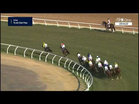 Breeders' Cup Turf - Gruppe 1