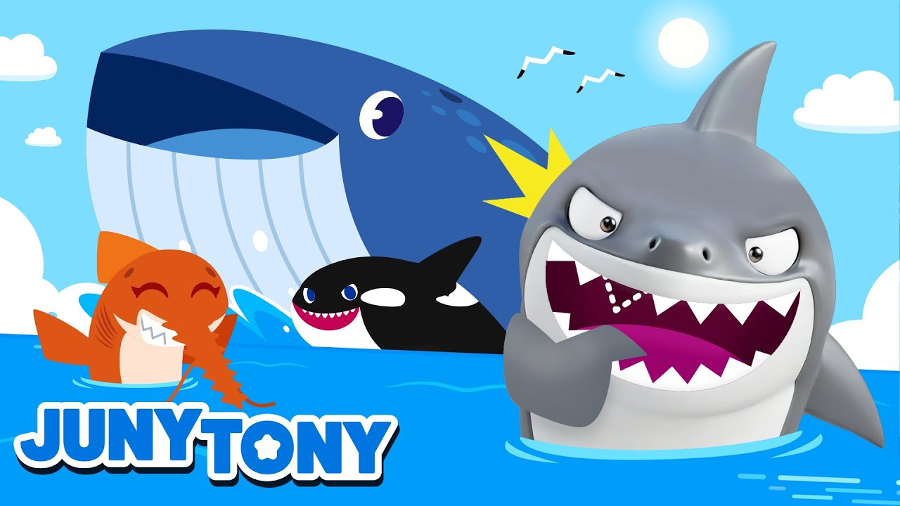 🐋 Baleias VS Tubarões 🦈 Amigos do Mar | Música Infantil | JunyTony em Português