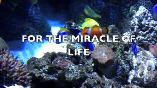 prayer for inner cleansing.m4v