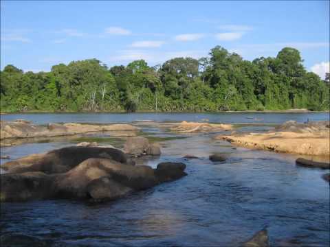 Swit' dey - OssyOswald (Ooh happy day, Surinamese version)