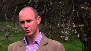 Daniel Hannan explains how Magna Carta crossed the Atlantic