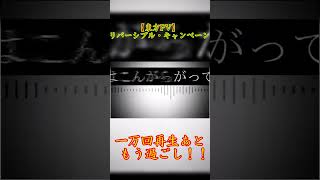 【東方PV】リバーシブル・キャンペーンの再生回数あともう過ごし一万回再生！　#東方PV　#リバーシブル・キャンペーン