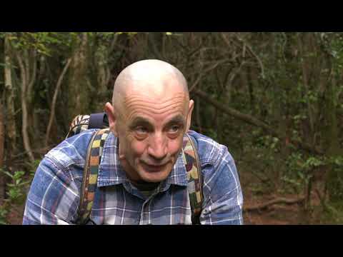 Okusi zavicaja ep78 GLJIVE KONAVLE 06112020