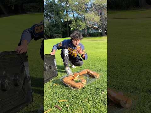 CUANDO TE TOCA LLEVAR LA ROSCA DE REYES 🤴 😂