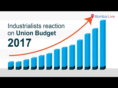 'अर्थसंकल्पाचे फायदे तितके तोटे'