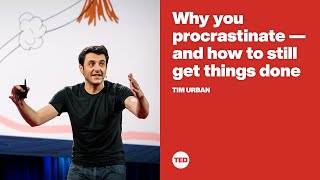 Why you procrastinate -- and how to still get things done | Tim Urban