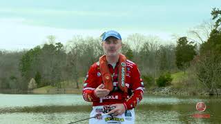 Asian Carp invasion Thumbnail Image