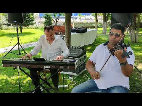 Vasi de la Sadu | Florin de la Severin | Aurelian Feraru - Instrumental Flora 2022