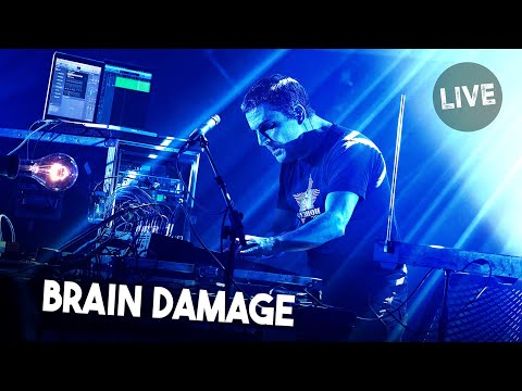 Brain Damage - Live 2024 - Feat Emiko Ota