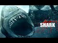Top 6 World Best Shark Movies In Hindi Dubbed