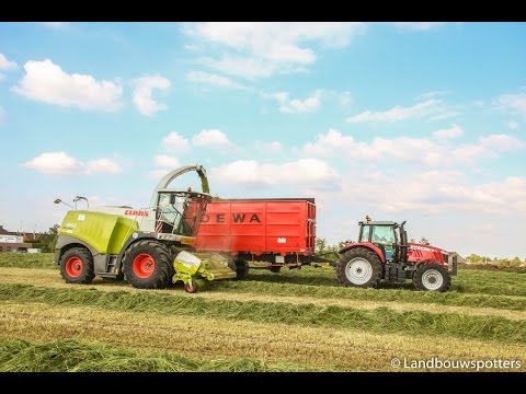 Claas Jaguar 960 gras hakselen 2014 - Demeyer uit Wakken