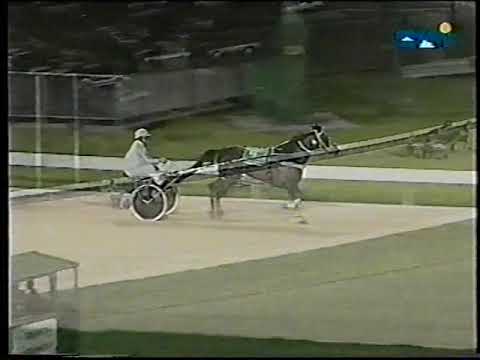 1999 Australian Pacing Derby Moonee Valley Sat 10 July