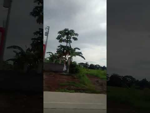 Mangandingay to Gundaway