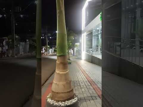 São João PR , terra da maior fogueira do Brasil #explore #reels #viral #turismo 