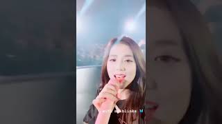 Jisoo: Blackpink Arena tour 2018 Special Final In Kyocera Dome, Osaka