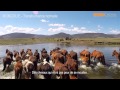 Voyage en Mongolie - Transhumance nomade - Rando à cheval et trek (version courte)