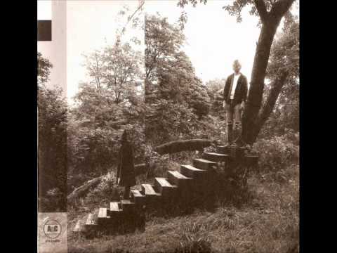 TIMBER TIMBRE - lay down in the tall grass