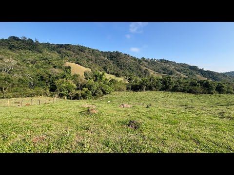 Área 20.000 m2 Consolação-MG R$ 190.000- escritura registrada- riacho- ótima topografia 