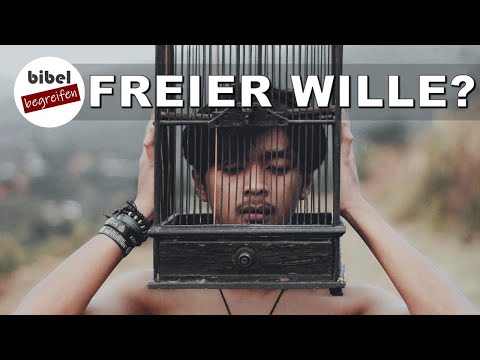 Hat der Mensch wirklich einen FREIEN WILLEN? [Römer 7,17]