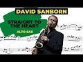 DAVID SANBORN [straight to the heart] ALTO SAX TRANSCRIPTION