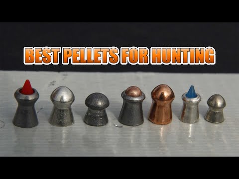 Best Airgun Pellets for Hunting - Madman Review
