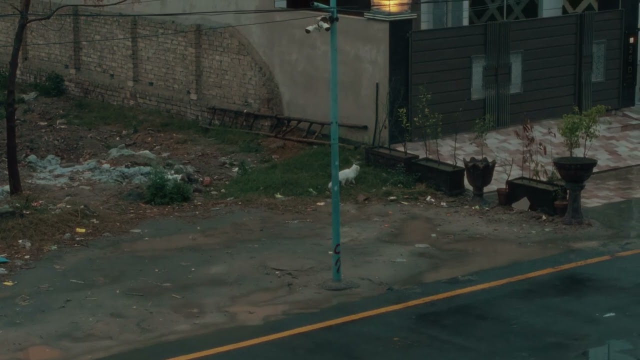 Videography — Standard