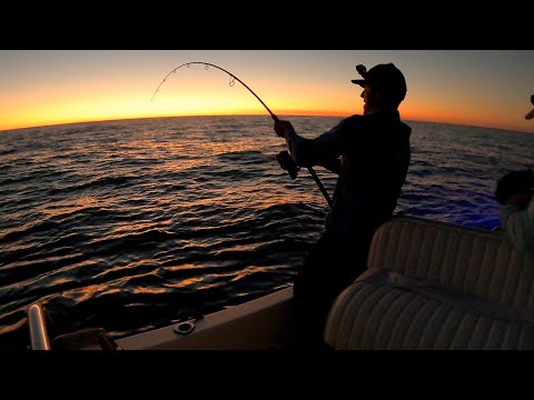 3 Days Chasing one FISH!! Camping and fishing 100km offshore in a 17ft boat in Central Queensland