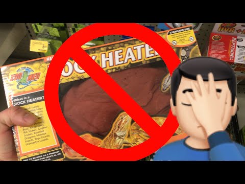 Why NOT to buy  reptiles from PetCo/PetSmart