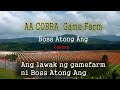 Boss Atong Ang Game Farm | Sabong Universe