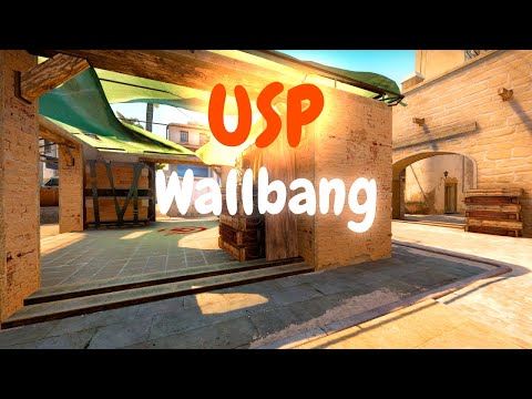 This is How We Start Games on Mirage... (First Round USP Wallbang)