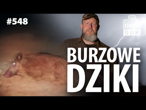 Darz Bór odc 548 Jak dziki po deszczu…