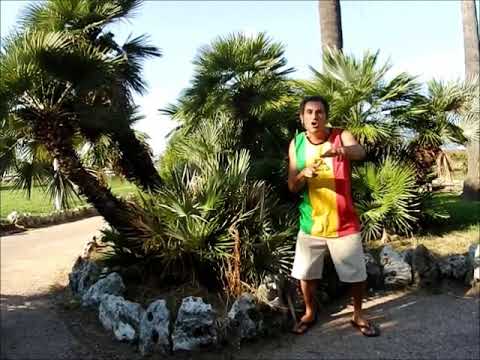 Bob REKENEDY "Babylone is in my Home" feat Alann Ulises "Dakey Riddim"