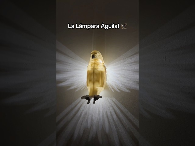 Vídeo relacionado con Lampephoto.fr - Lámpara 3D Retrato Fernando Alonso Decoración Colección Fórmula 1 Monoplaza Idea Regalo Hombre Mujer Objeto Retrato Fernando Alonso Luz Nocturna Deco, Regalo Ideal, Navidad TOP