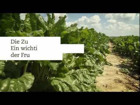 Definition der chronischen Prostatitis Akute Prostatitis und Konzeption