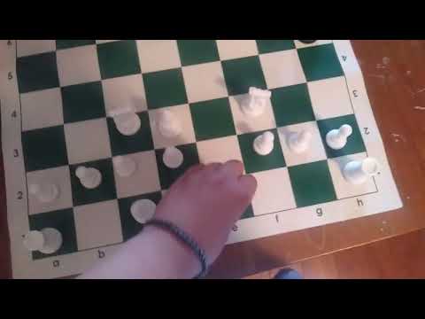 MAGNUS CARLSEN CHECKMATED BILL GATES IN JUST 12 SECONDS