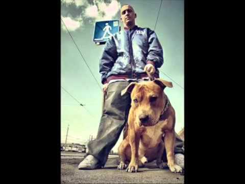 Rays - Sabiedrotais progress ft. Natre