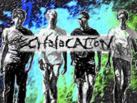 Accidental Hero - Echolocation