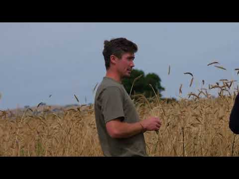 Wildfarmed Growing Community