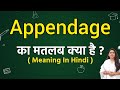 Appendage Meaning In Hindi Appendage Ka Matlab Kya Hota Hai Word Meaning