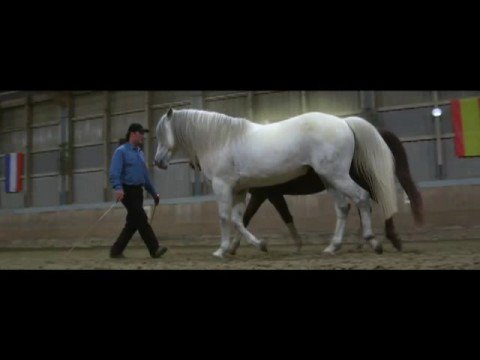 Live Your Dream: Mikey Teaser