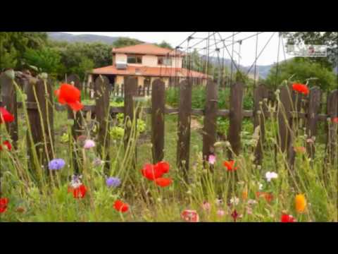 ¿Cómo crear un huerto ecológico?