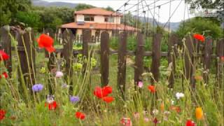 ¿Cómo crear un huerto ecológico?