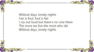 Bryan Ferry - Wildcat Days Lyrics