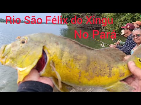 Pescaria no São Félix do Xingu