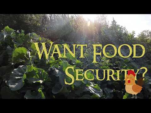 Grow Food - Watch Video - Image 2