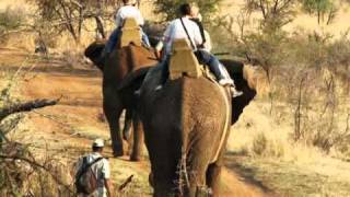 preview picture of video 'Elephant Back Ride Safari - Pilanesberg'