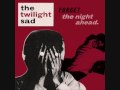 the twilight sad seven years of letters